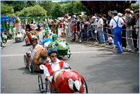 [Click to enlarge image]